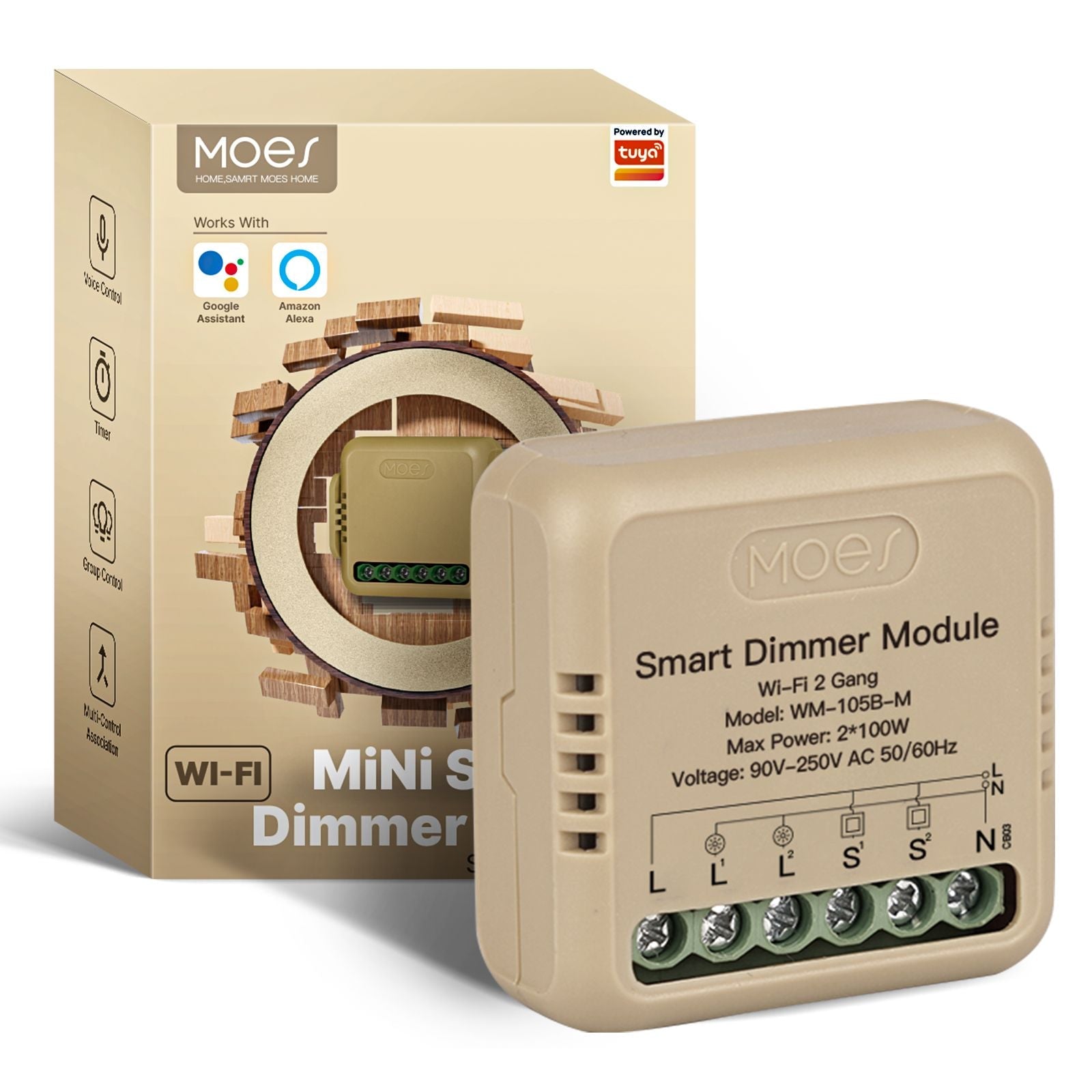 2-Gang WiFi DIY Switch Module